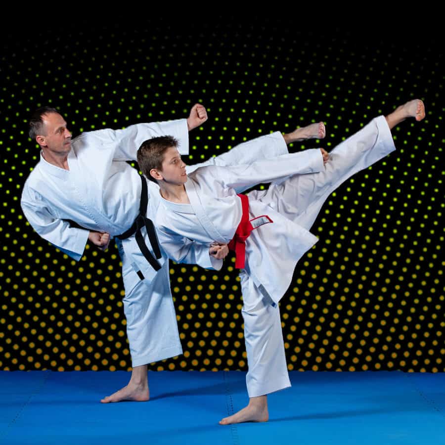 Martial Arts Lessons for Families in Lemoyne PA - Dad and Son High Kick