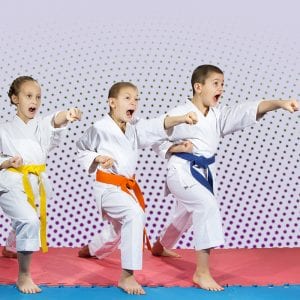 Martial Arts Lessons for Kids in Lemoyne PA - Punching Focus Kids Sync