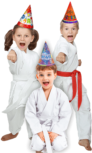 Martial Arts Birthday Party for Kids in Lemoyne PA - Birthday Punches Page Banner